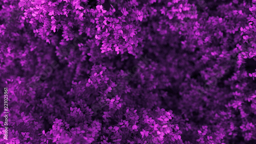 Beautiful purple background with leaves  season of the year. 3d illustration  3d rendering.