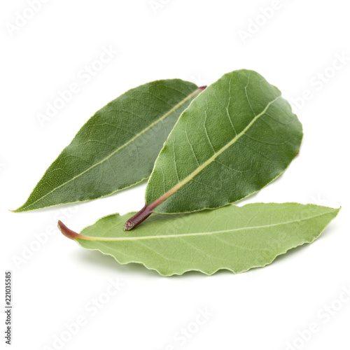 Aromatic bay leaves