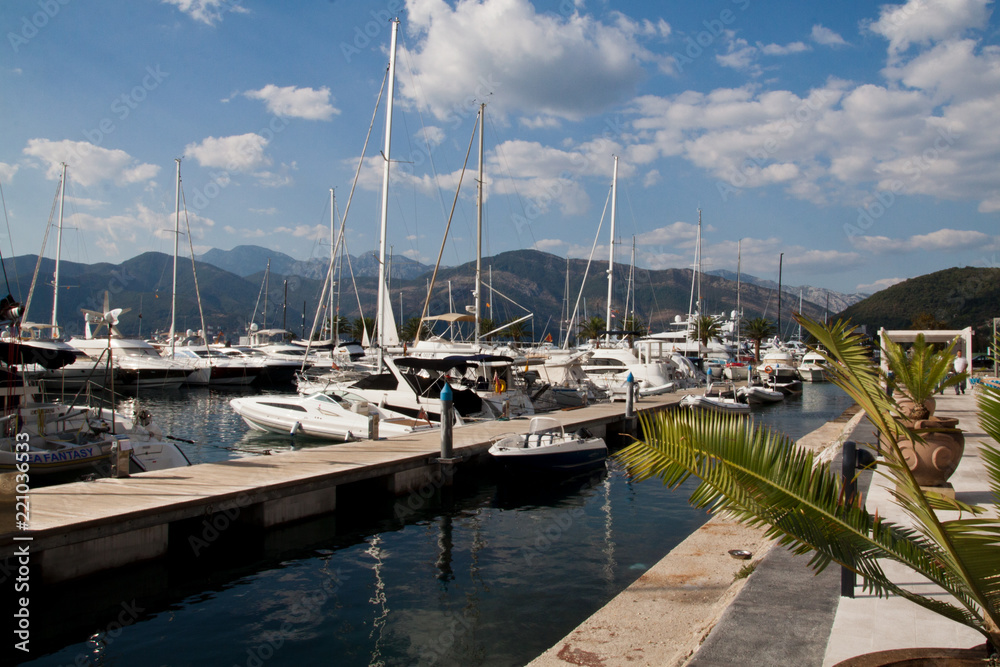 Marina yachts in the background of mountains.