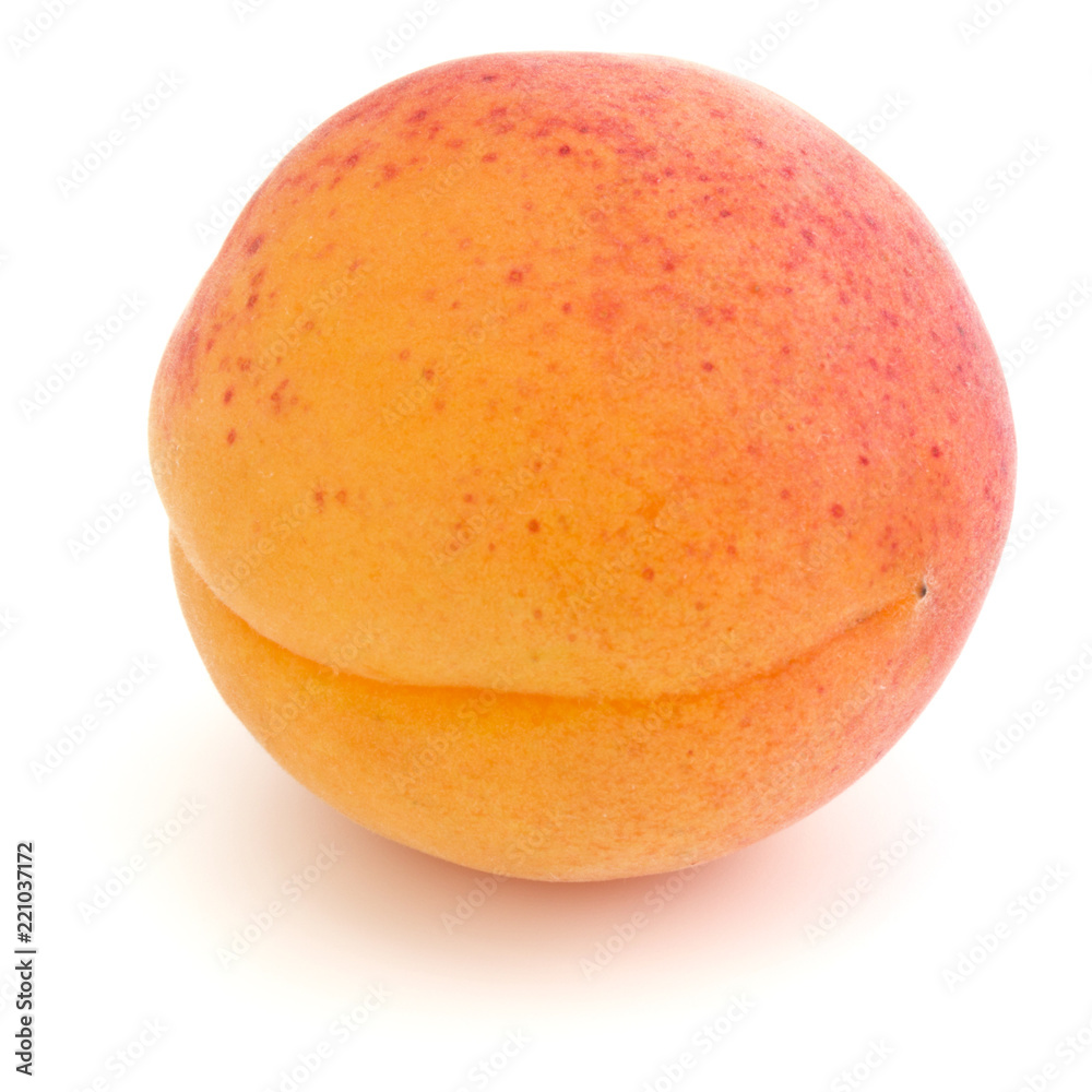 One apricot isolated on white background cutout One apricot isolated on white background cutout