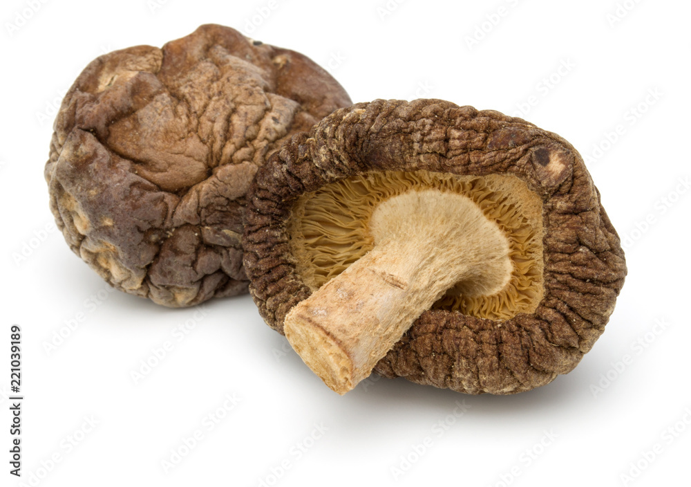 Dried Shiitake Mushroom isolated on white background Dried Shiitake Mushroom isolated on white background