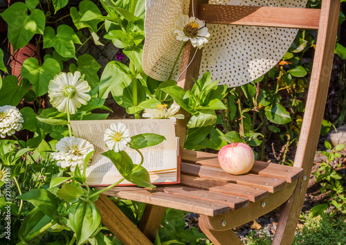 Apple, hat and book on a chair among the flowers