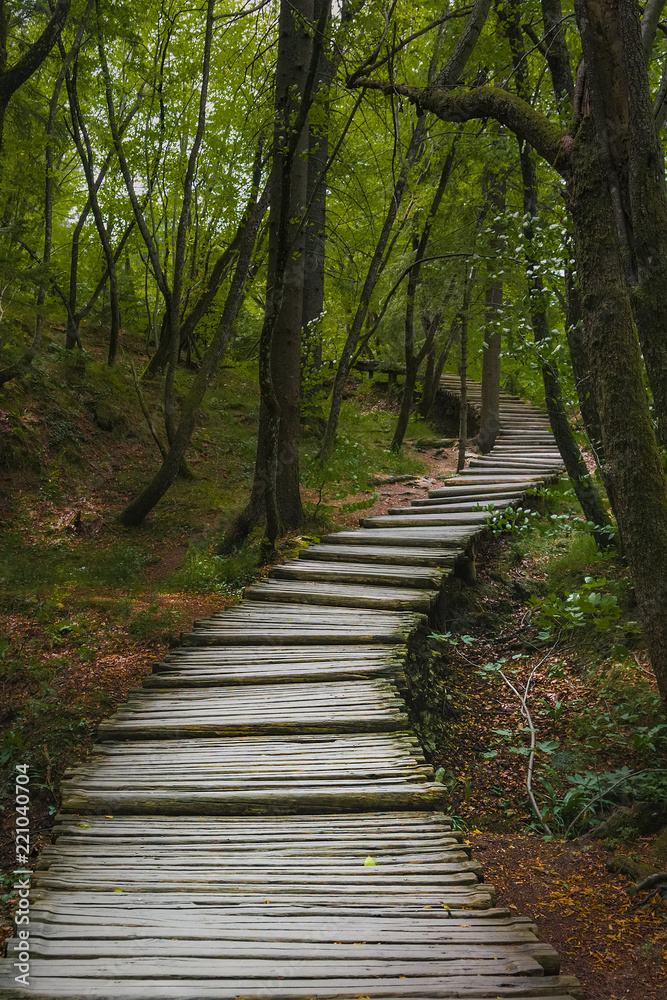 A winding path with wooden decking A winding path with wooden decking