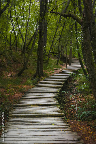 A winding path with wooden decking