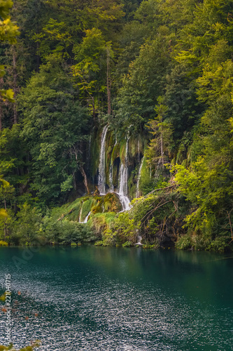 Fototapeta Naklejka Na Ścianę i Meble -  Forest landscape with a waterfall