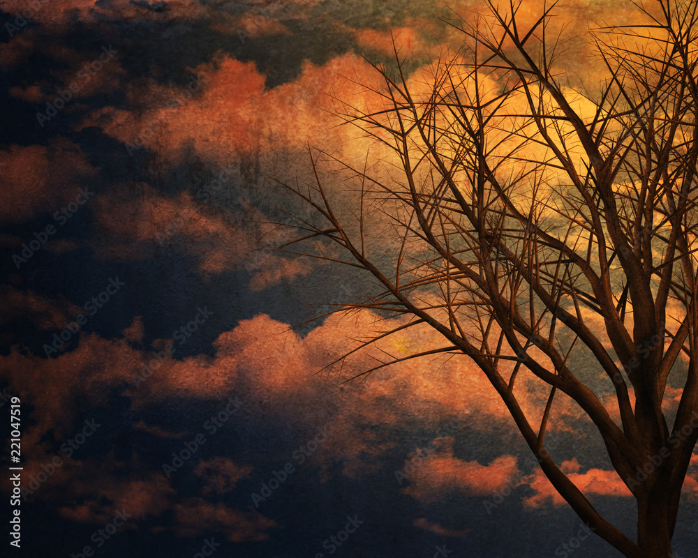 Obraz premium tree in background whit clouds