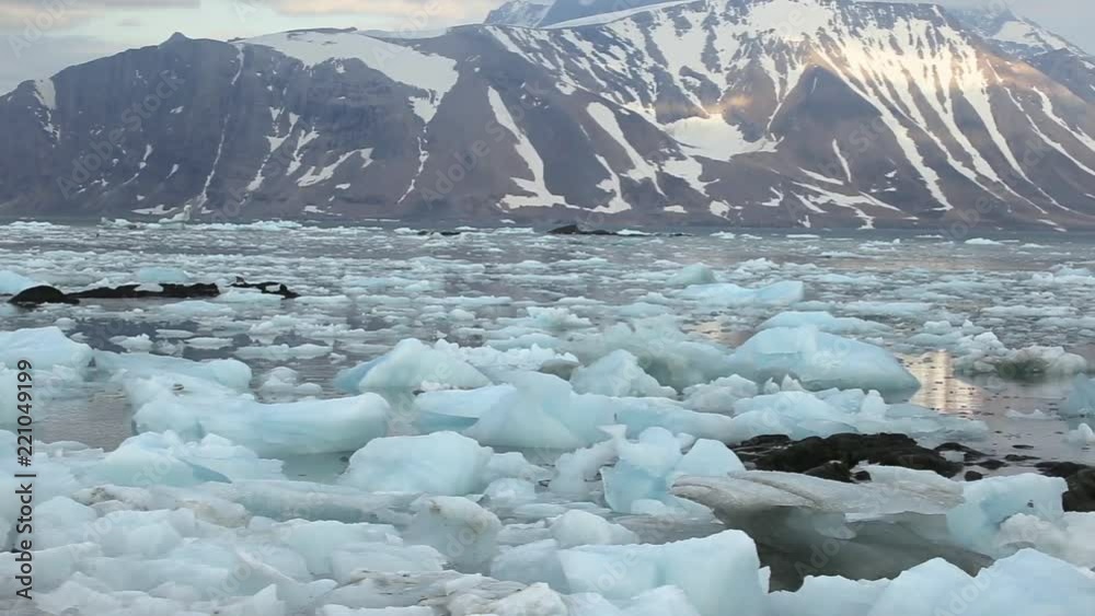 Ice from a glacier in the bay of the fjord in the Arctic Ice from a glacier in the bay of the fjord in the Arctic