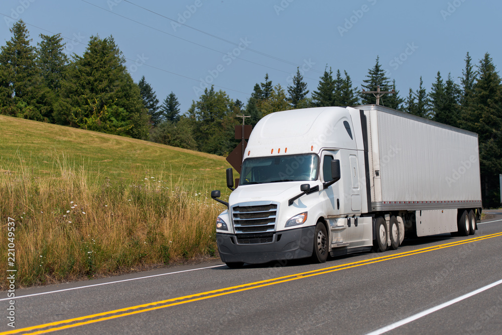Big rig white semi truck with dry van semi trailer transporting goods on the road with forest and meadow
