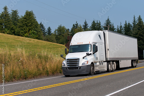 Big rig white semi truck with dry van semi trailer transporting goods on the road with forest and meadow