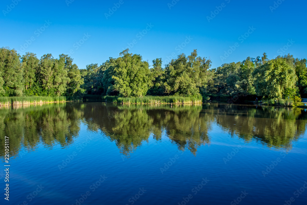 Reflections of trees and foliage on the shore of a calm still lake on a sunny summer morning.