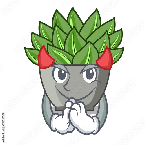 Devil cartoon echeveria cactus plant at winter
