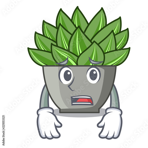 Afraid cartoon echeveria cactus plant at winter