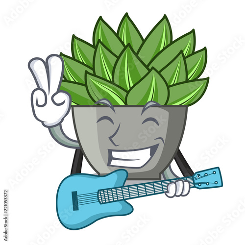 With guitar cartoon echeveria cactus plant at winter