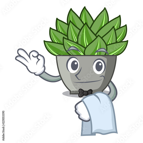 Waiter cartoon echeveria cactus plant at winter