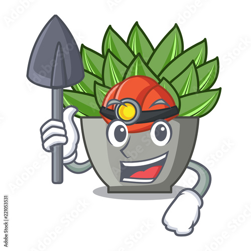 Miner cartoon echeveria cactus plant at winter