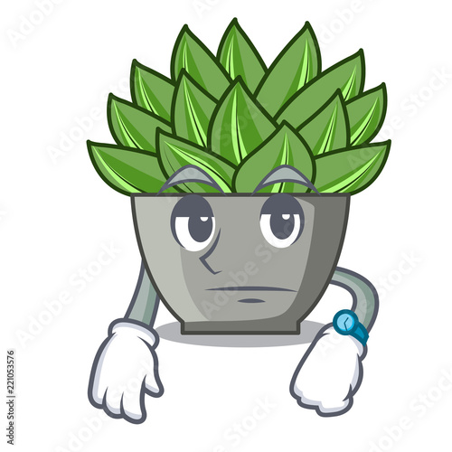 Waiting cartoon echeveria cactus in cactus garden