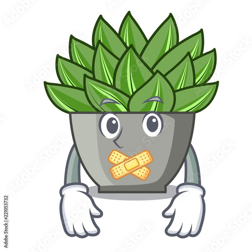 Silent cartoon echeveria cactus in cactus garden