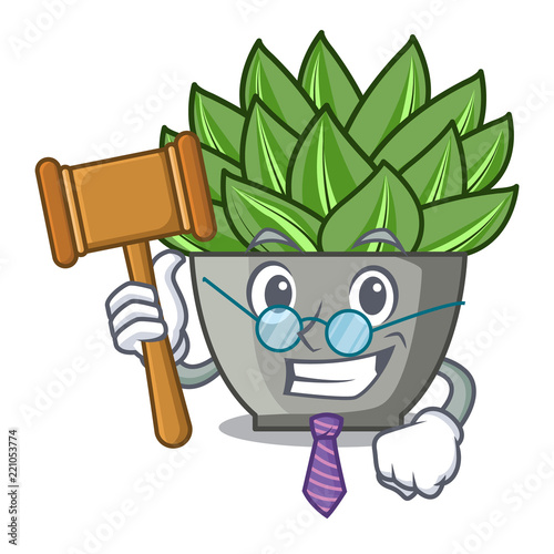Judge cartoon echeveria cactus in cactus garden