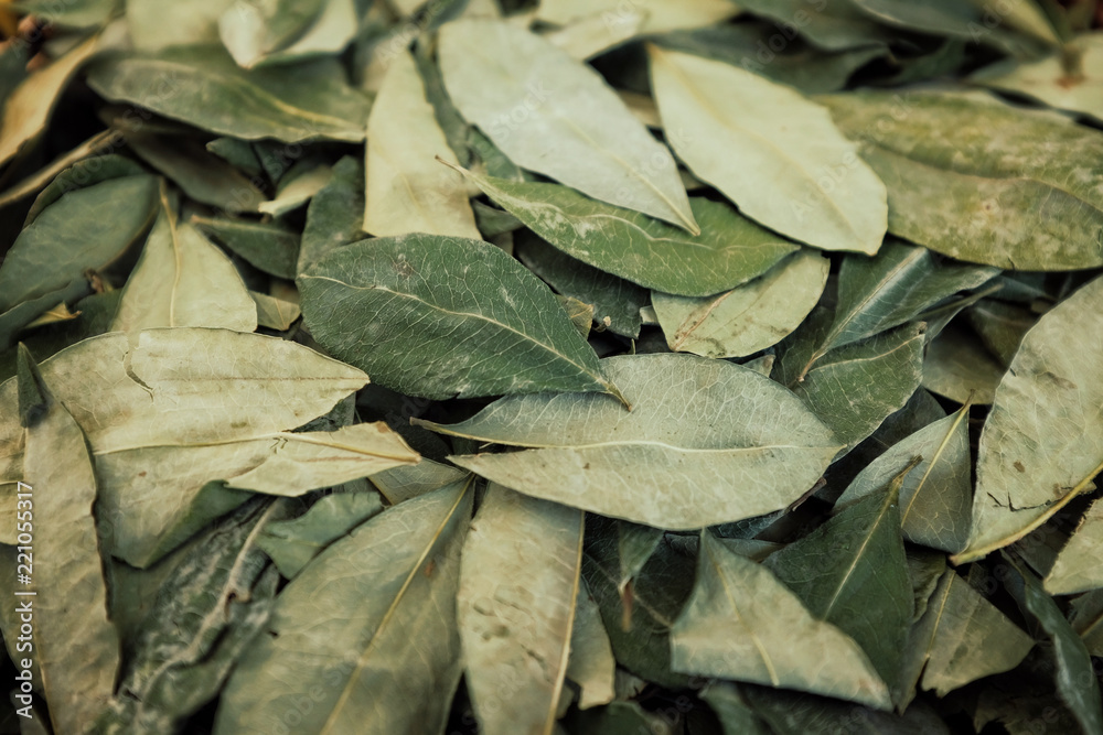 sorting dried coca leafs in a small woven basket sorting dried coca leafs in a small woven basket