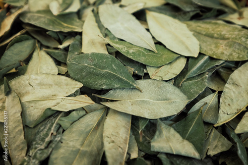 Photography sorting dried coca leafs in a small woven basket