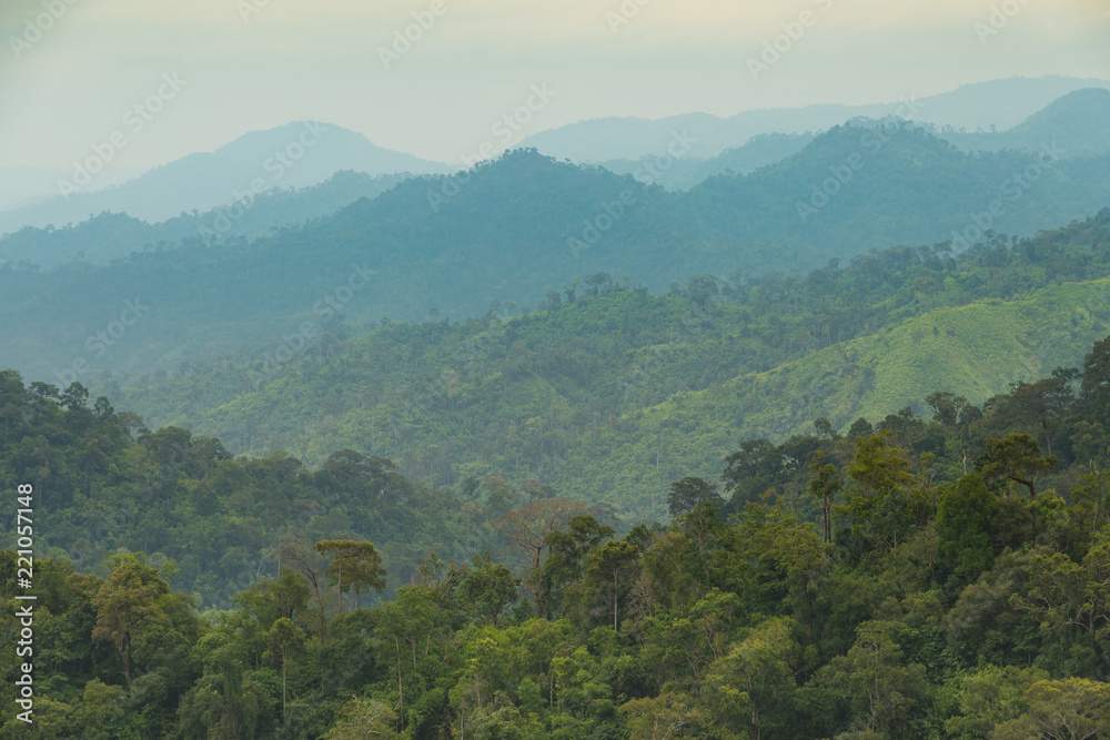 Mountains and forests in the morning.