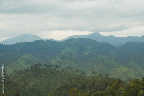 Mountains and forests in the morning.