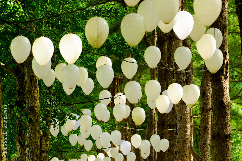 Foto de balloons hanging on tree in Namisum (Nami Island) , Chuncheon