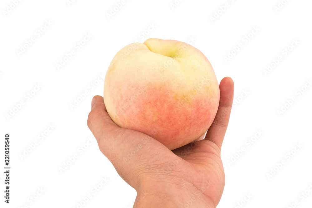 hand hold peach isolated on white background hand hold peach isolated on white background