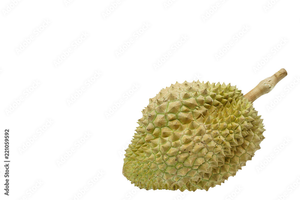 Closeup of durian fruits isolated on white Closeup of durian fruits isolated on white