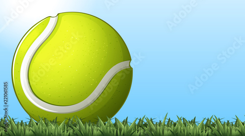 Tennis ball on the ground