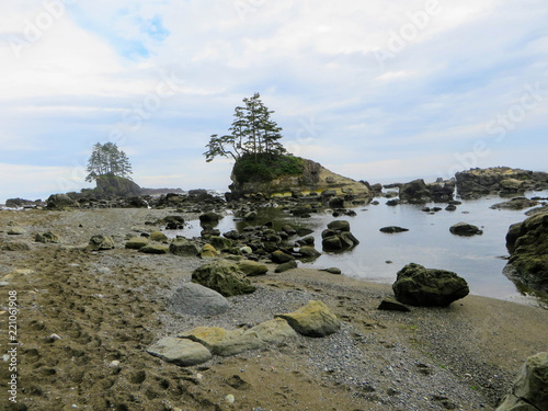 Crazy hike along the beautiful misty coasts and forest of Vancouver Island doing the rugged West Coast Trail.  Many bridges and ladders and other fun obstacles photo