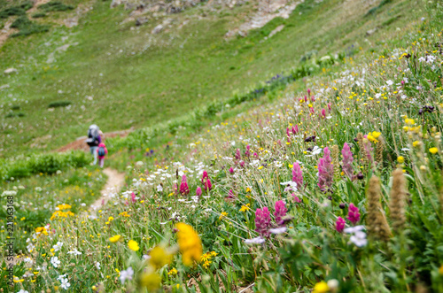 Hikers in a field of wildflowers