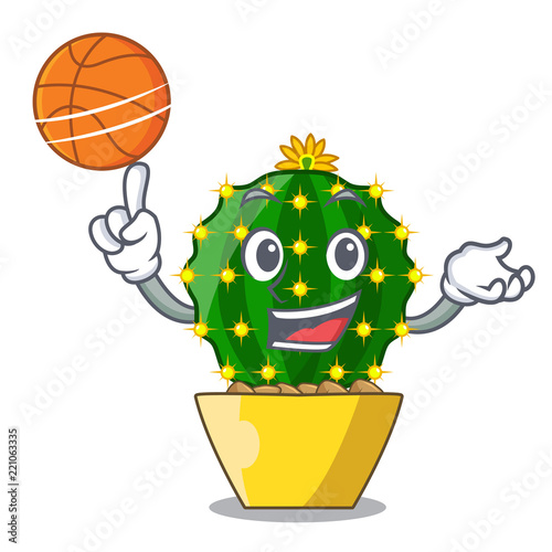 With basketball mammillaria cactus planted in a cartoon pot