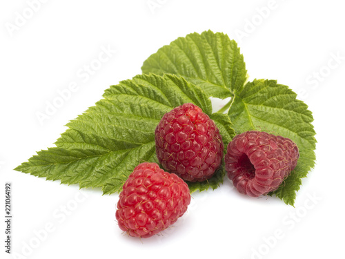 raspberry on a white background. 