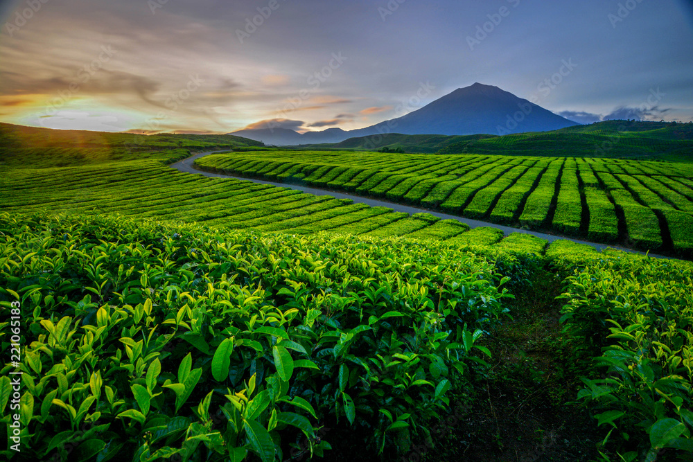 Kerinci Mountain 3.805mdpl Kerinci Mountain 3.805mdpl