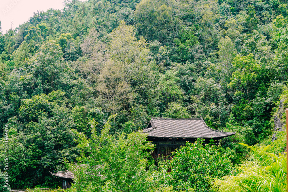temple in the forest