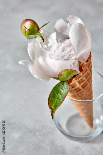 Delicate white peony flower with bud in a wafer cone in a glass standing on a gray stone table.