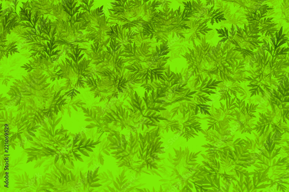 Leaves on a yellow and orange background,texture and wallpaper Leaves on a yellow and orange background,texture and wallpaper