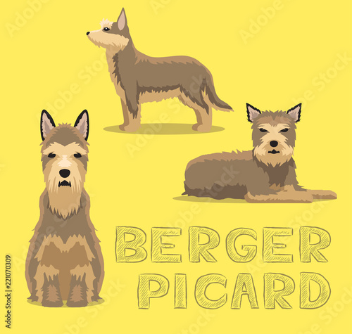 Dog Berger Picard Cartoon Vector Illustration