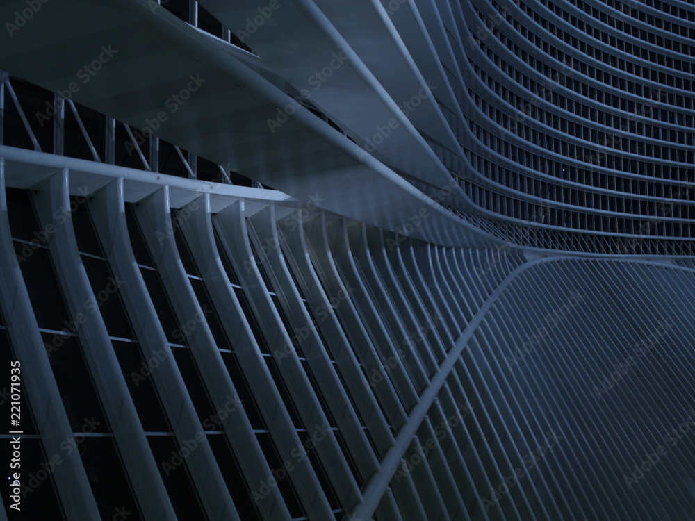 Naklejka premium OLYMPUS DIGITAL CAMERA