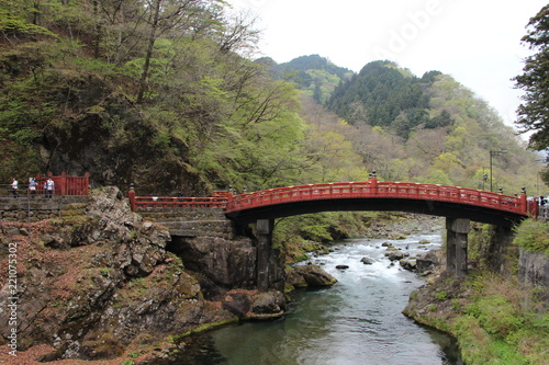 nikko