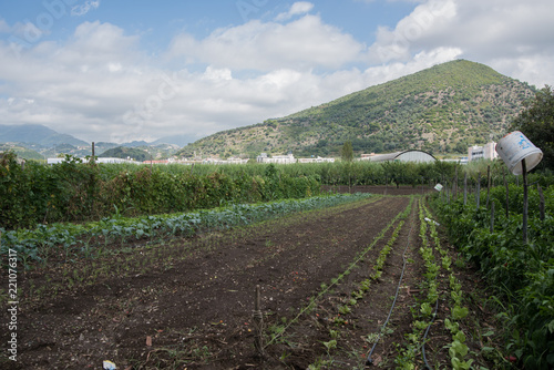 farm in salerno, italy