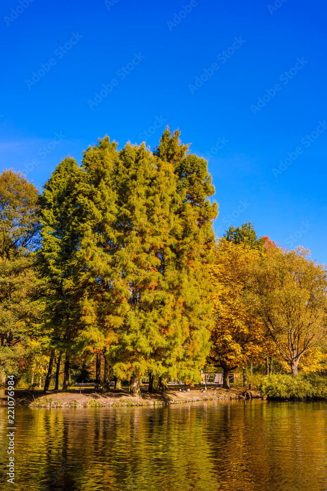 Wonderful Landscape. Colorful Autumn scene