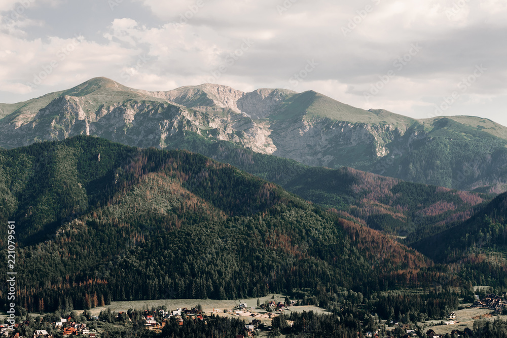 Fototapeta premium Mountains with forest