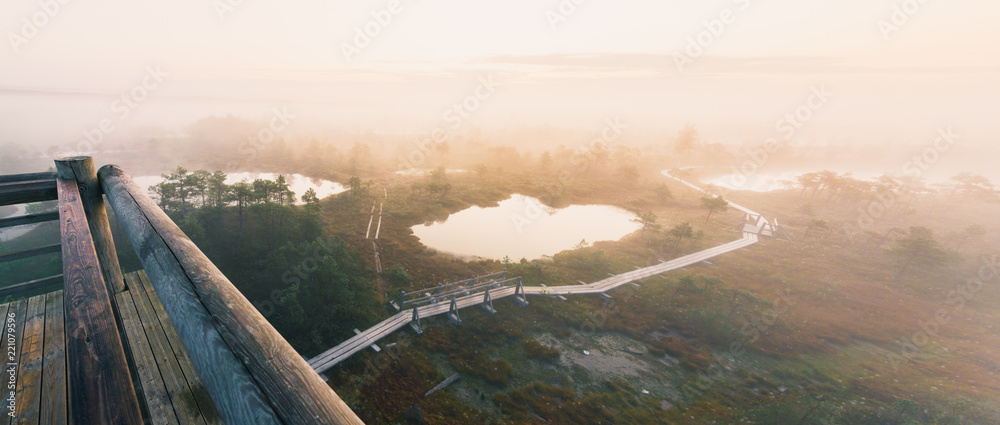 Panoramic colorful sunrise at swamp covered in fog. Sunshine through the thick mist with tree silhouettes in background at Kemeri national park in Latvia. Early morning delight. 