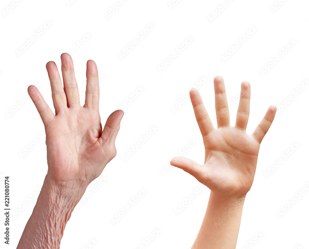 hand hand