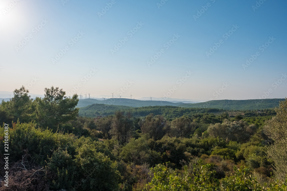 Wind Turbines and Trees in the Morning Urla Turkey