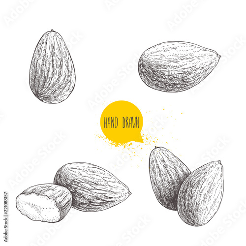 Hand drawn sketch style almond set. Single, group  seeds. Organic food vector illustration isolated on white background.