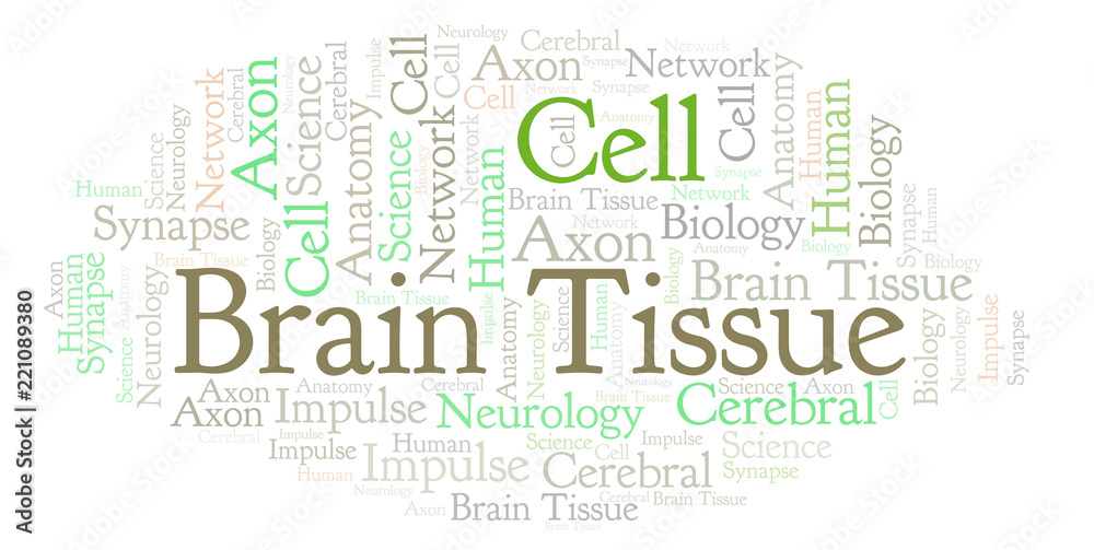 Obraz premium Brain Tissue word cloud.