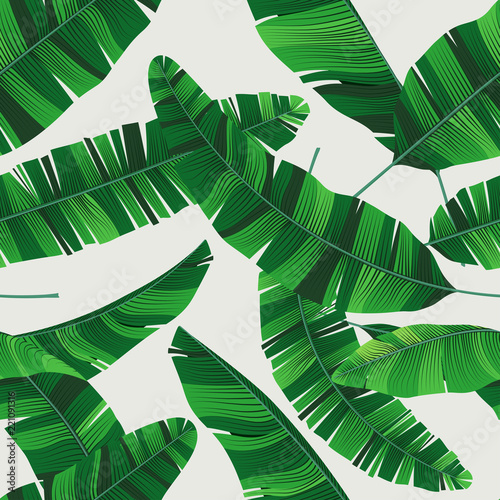 Colorful summer seamless tropical pattern with banana leaves